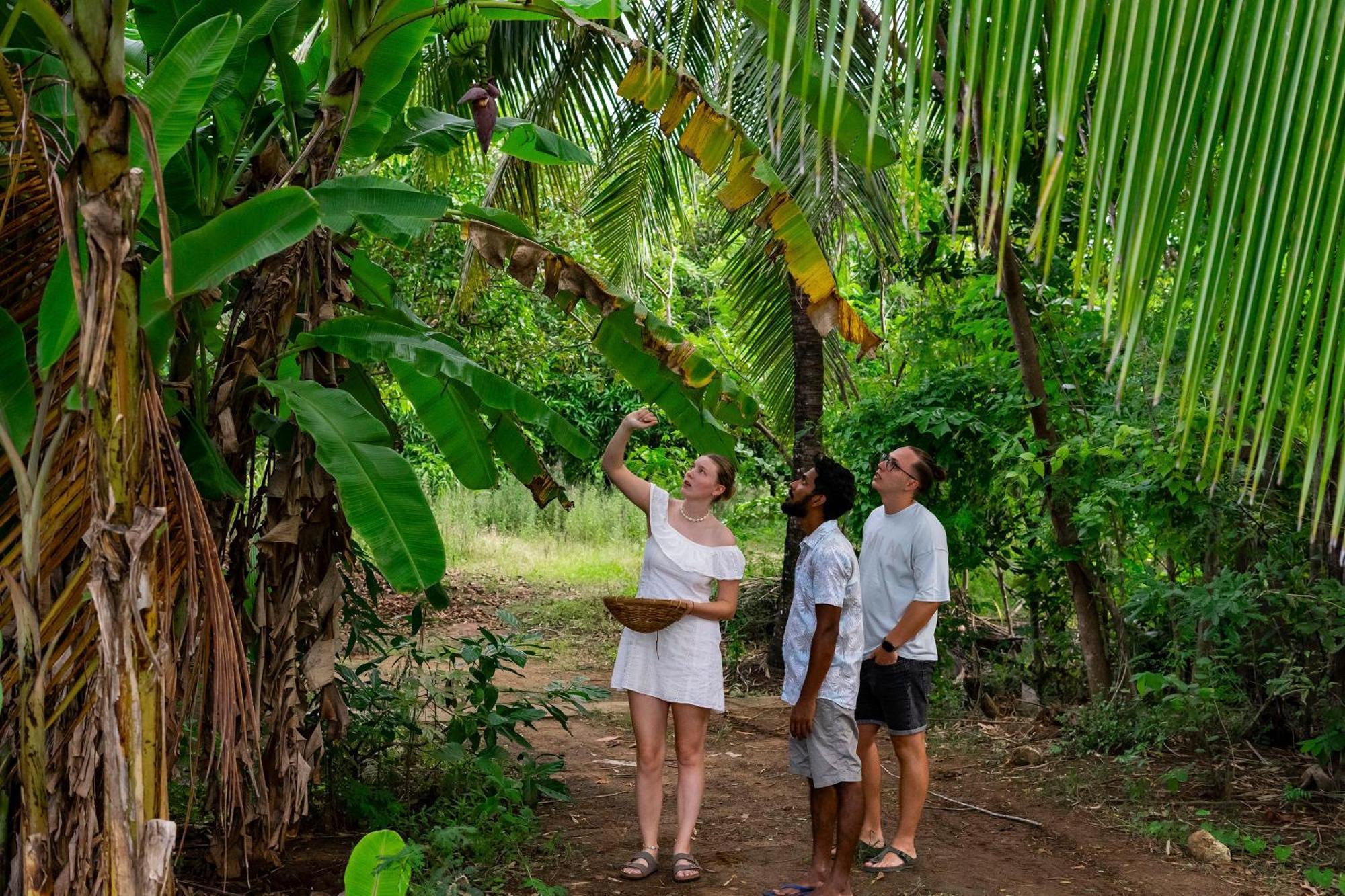 River Paradise Safari House With Cooking Class Udawalawe Exterior photo